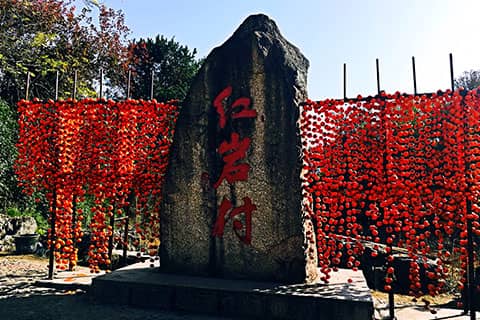 红岩村